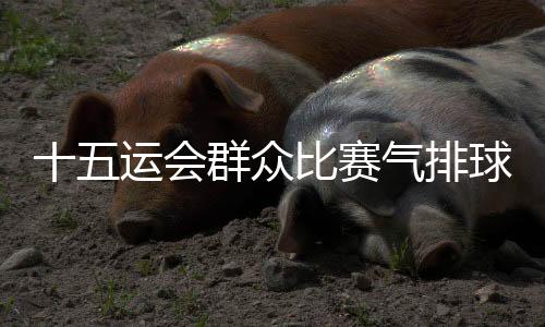 十五运会群众比赛气排球项目决赛在江门落幕
