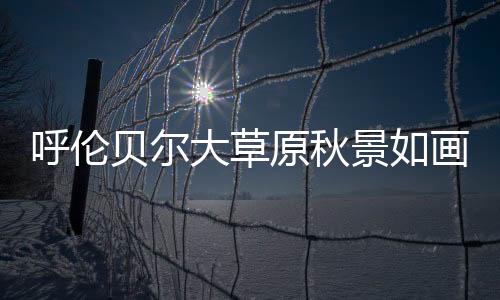 呼伦贝尔大草原秋景如画