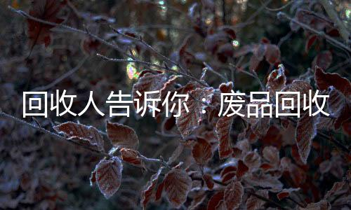 回收人告诉你：废品回收就是植树造林