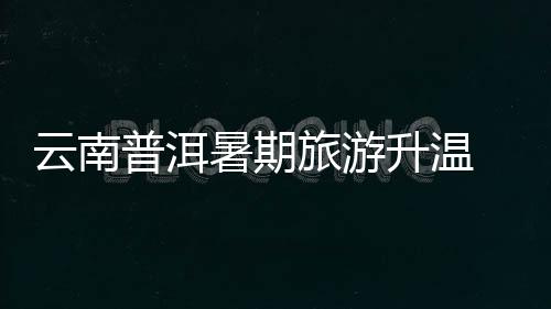 云南普洱暑期旅游升温 茶咖融合升级文旅新体验