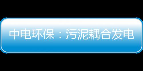 中电环保：污泥耦合发电业务致净利润大幅增长