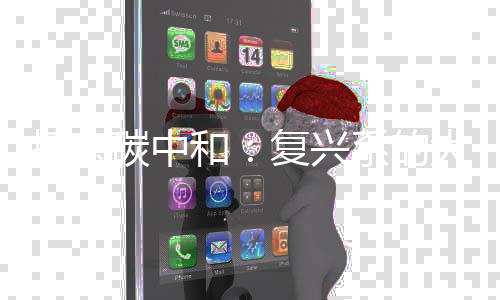 押宝碳中和：复兴系的大冒险