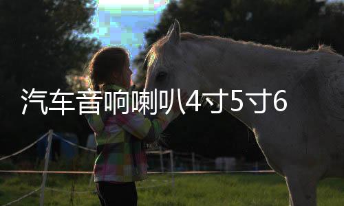 汽车音响喇叭4寸5寸6.5寸6X9寸全频同轴重低音套装车载无损扬声器