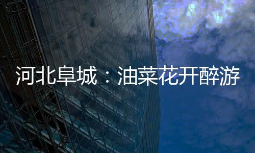 河北阜城：油菜花开醉游人 成乡村振兴“致富花”