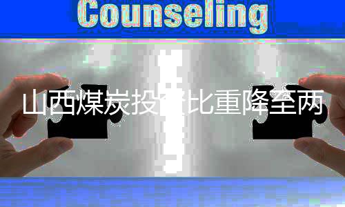 山西煤炭投资比重降至两成 转型使资金由煤流入非煤