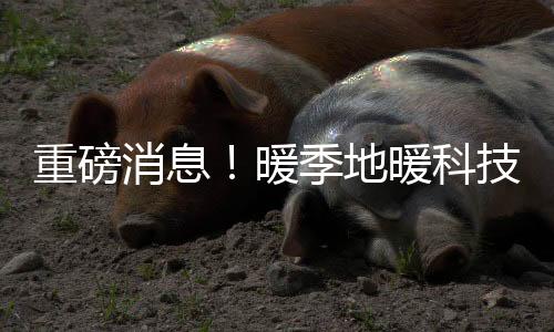 重磅消息！暖季地暖科技荣获《高新技术企业》荣誉证书
