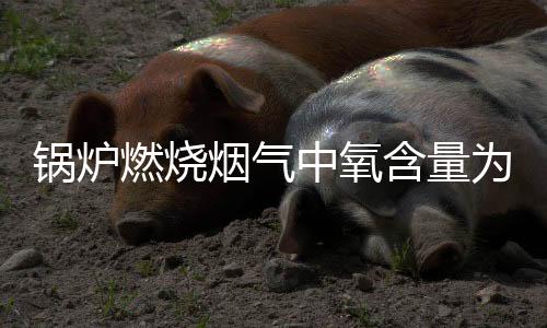 锅炉燃烧烟气中氧含量为什么不能超过6%? 如何降低烟气中的氧含量？